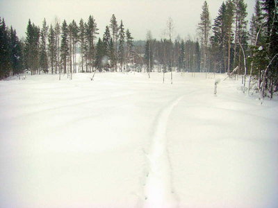 100226_01.jpg