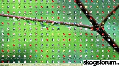 desktopbild.jpg