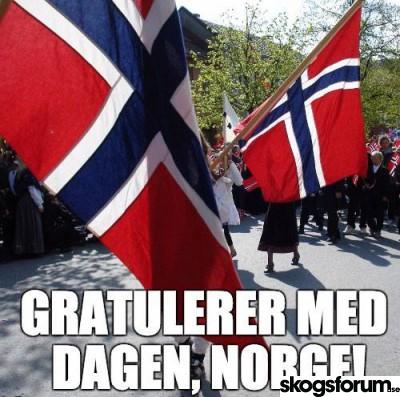 1463501244_norge.jpg