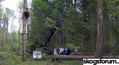 1501483954_tv-team-bialowieza-skordare.jpg