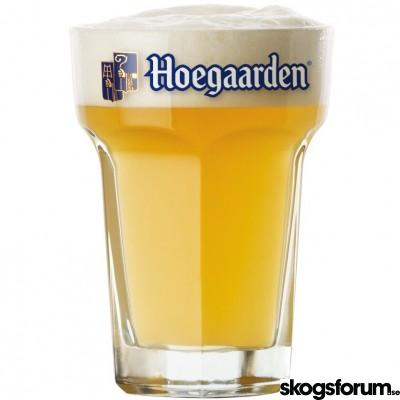 1513458536_hoegaarden.jpg