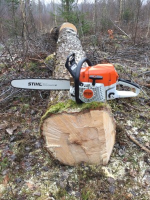 1487260676_stihl_362_asp.jpg