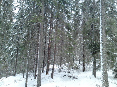 DSC00888.JPG