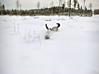 100102_01.jpg