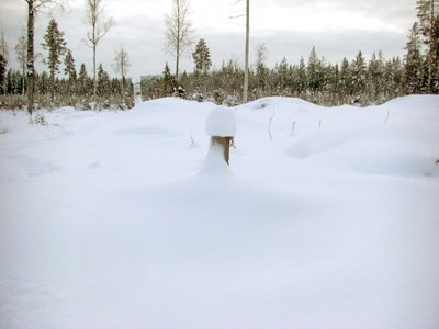 100102_03.jpg