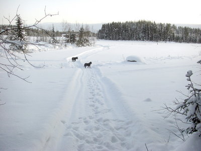 100103_04.jpg