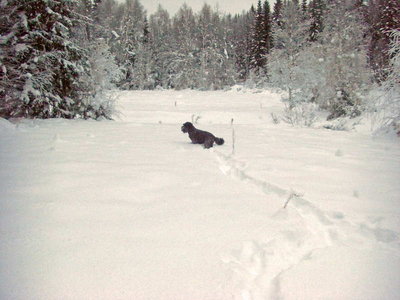100115_03.jpg