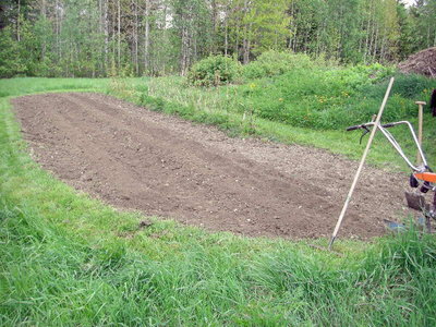 100606_01.jpg
