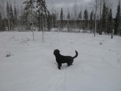 120101_01.jpg