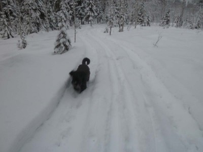 120101_03.jpg