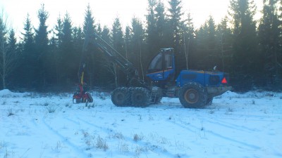DSC_0786.JPG