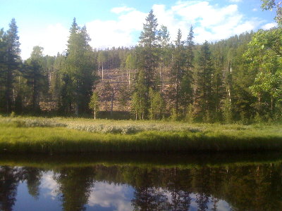 jobb typ 036.JPG