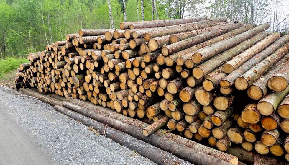1781615241_skogen-norskt_timmer-line-dahle.jpg