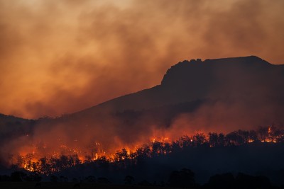1627551301_forest_fire.jpeg