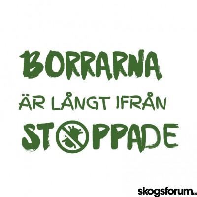 1637923814_borrarna-ar-inte-stoppade.jpg