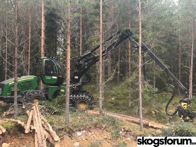 1641819437_skordare-stubbehandling-rotrota.jpg