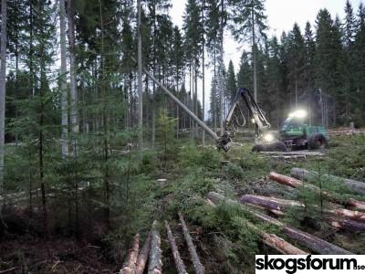 1666253436_skordare-skogsmaskin-avverkar-skog.jpg