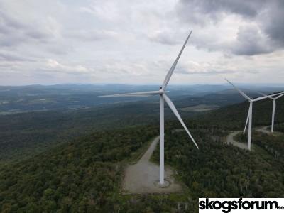 1668587978_vindkraft-skogsmark-skogsindustri.jpg