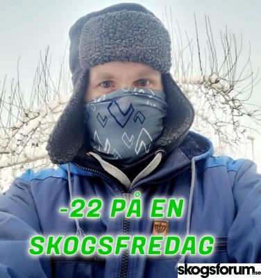 1671188564_skogsfredag-144.jpg