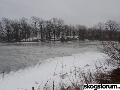 1673638976_2023.01.12_vintern_blei_borte_(1).jpg