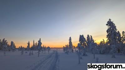 1674323841_jan2023snotrailgroominglapland.jpg