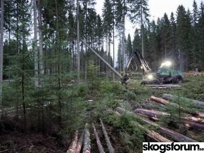 1697525409_skordare-skogsmaskin-avverkar-skog.jpg