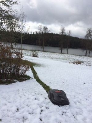 1699439418_img_25121.jpg.jpeg