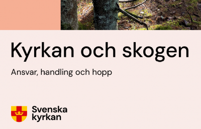 1727261787_kyrkan-och-skogen-rapport.png