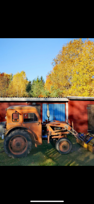 1729358876_img_6407.png