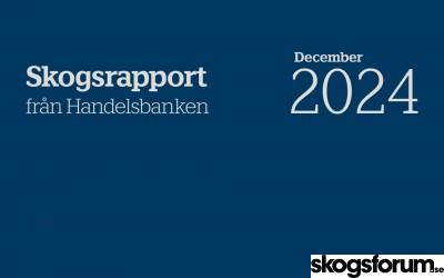 1733390925_handelsbanken-rapport-dec-2024.jpg