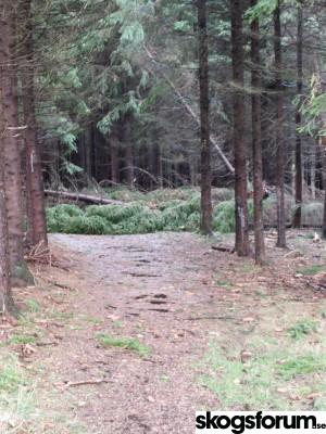 1759601566_2025.10.04_x_haugen_(11).jpg