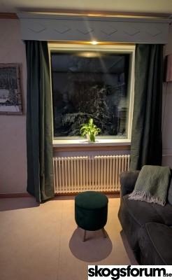 1772560104_feb2026kornisch.jpg