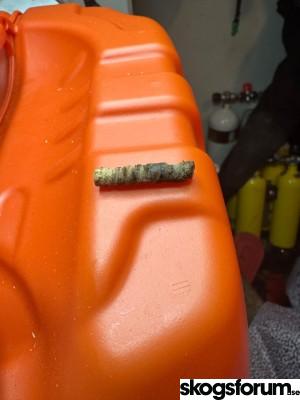 1779975702_img_9446.jpg