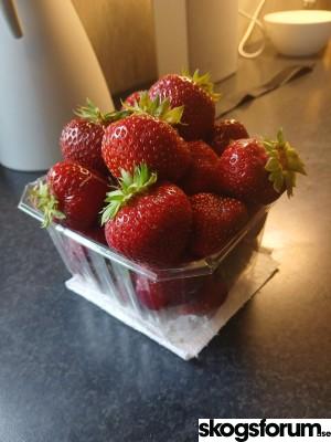 1784370745_2026.18.07_dagens_(22).jpg