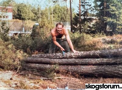 1784544292_img_9804.jpg