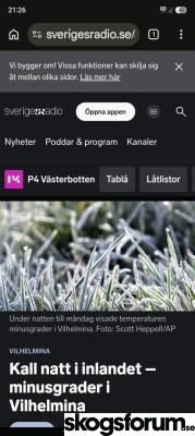 1784662019_6297.jpg