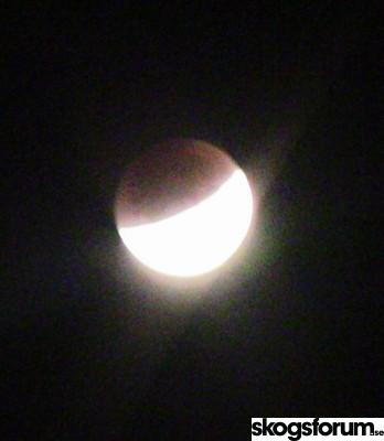 1443406730_s_img_0300.jpg