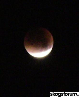 1443406765_s_img_0309.jpg