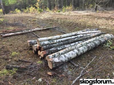 ImageUploadedByskogsforum forum1443893645.848696.jpg