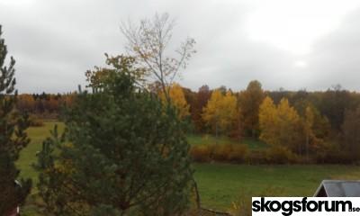 1445250465_20151019_120835.jpg
