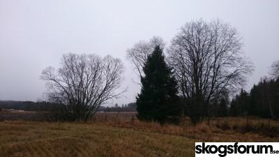 1447689763_dsc_1739.jpg