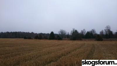 1447689788_imorgon.jpg