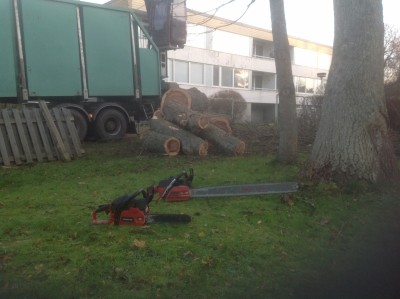1449081639_image.jpeg