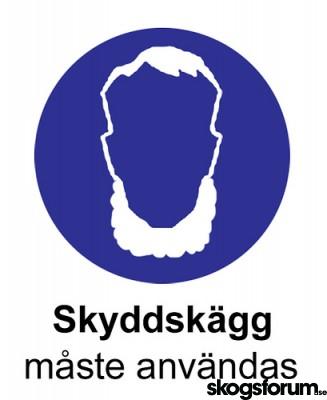 skägg.jpg