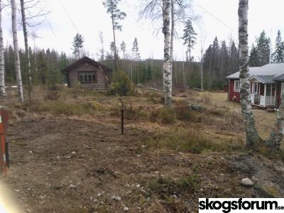 WP_000855.jpg
