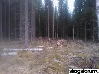 WP_000883.jpg