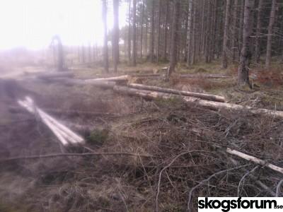 WP_000882.jpg