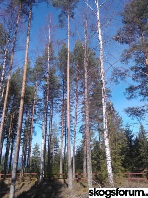 WP_000890.jpg