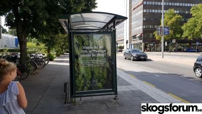 1501573638_svenska-skogen-kampanj.jpg