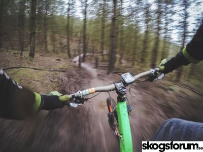 1517915193_mountainbike-skogen.jpg